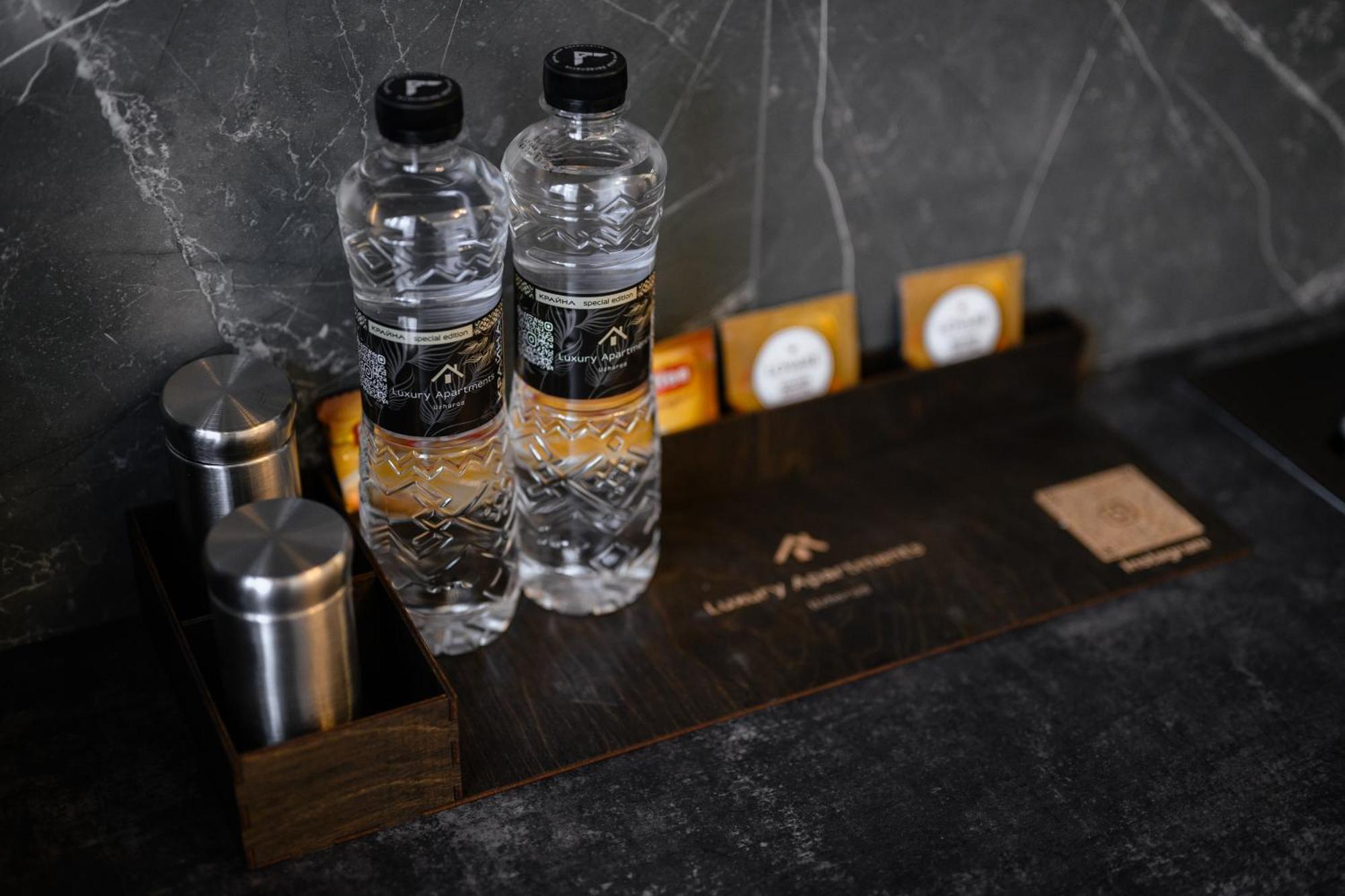 Luxury Apartments Laborca ウージュホロド エクステリア 写真