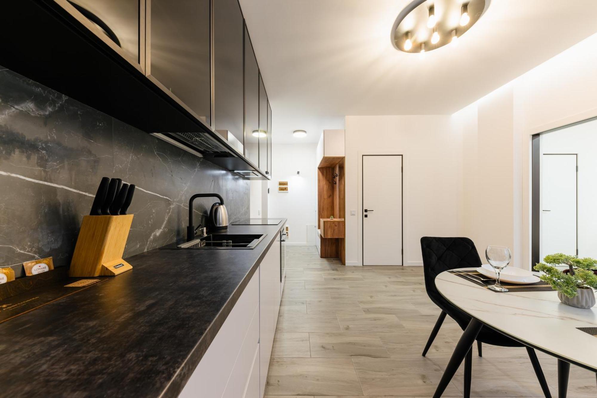 Luxury Apartments Laborca ウージュホロド エクステリア 写真